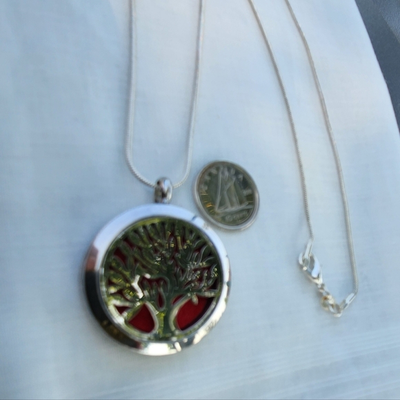 Perfume Locket Pendant and Sterling Chain - Picture 1 of 13